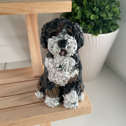 Custom Pet Model Collection