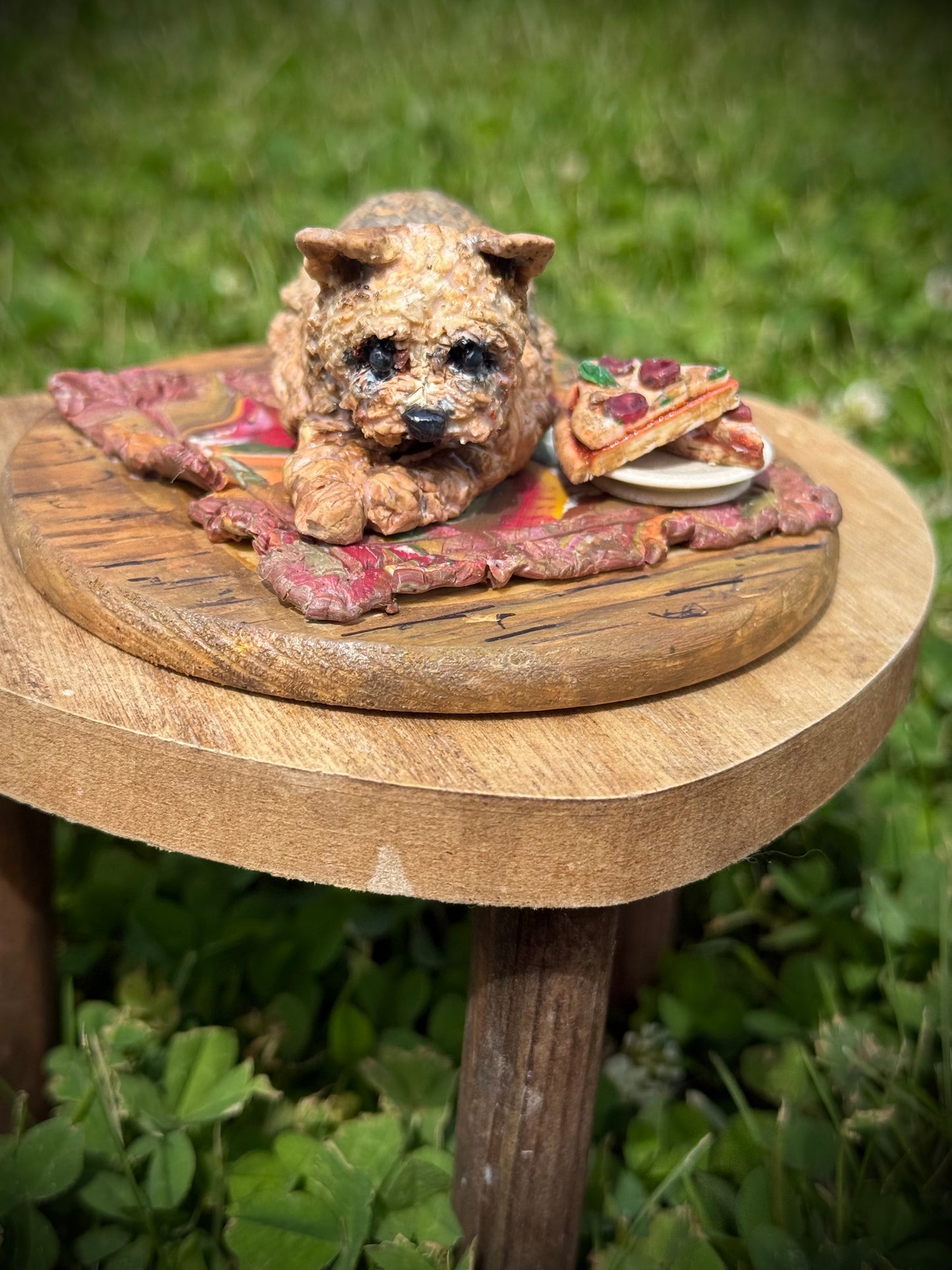 Custom Pet Model Collection
